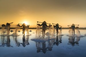 Récolte du sel au Vietnam