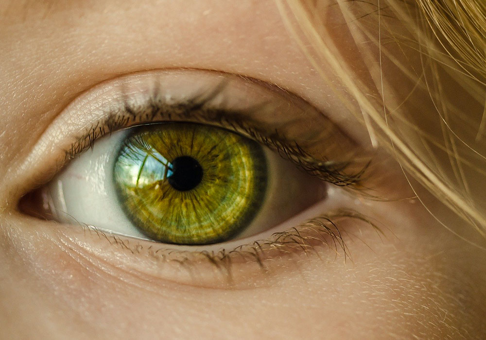 La couleur des yeux : indicatrice de la dépendance à l’alcool