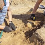 Photographie de fouilles archéologiques mettant à jour des ossements humains.