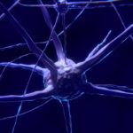 illustration de connexions de neurones