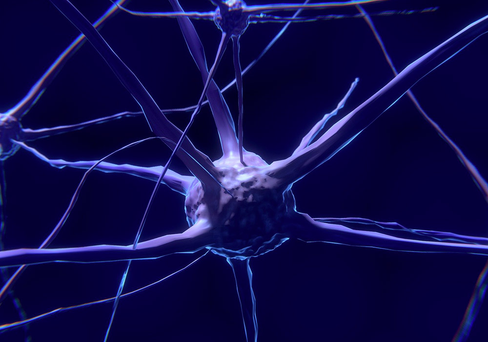 Une synapse manipulée inverse un comportement