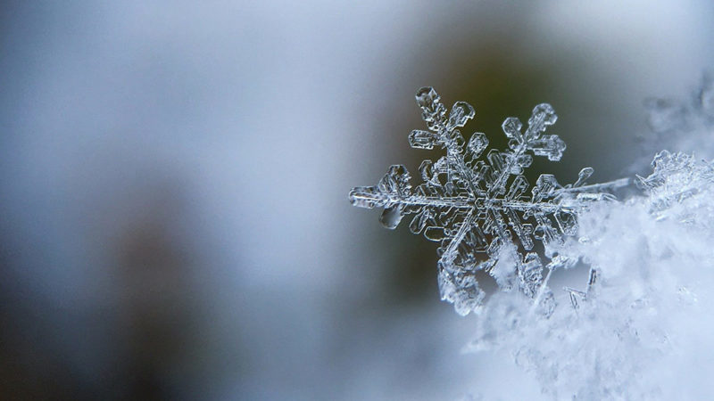 Les flocons de neige