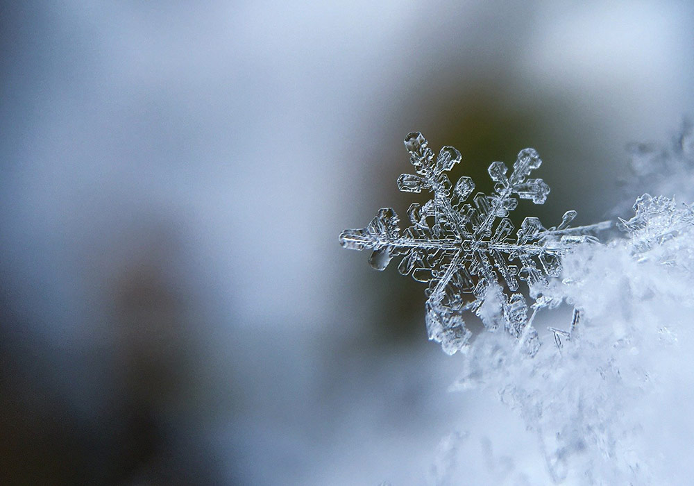 Les flocons de neige