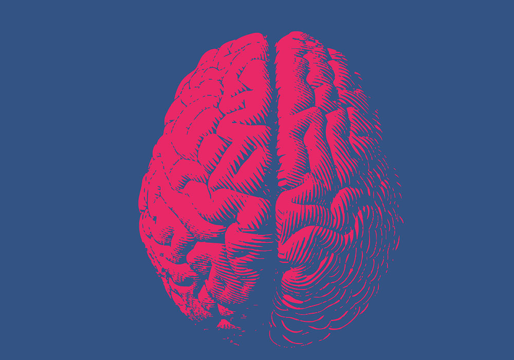 Des différences dans la structure cérébrale de l’empathie