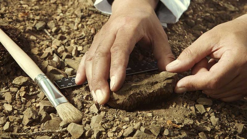 Restauration et conservation des objets archéologiques: comment ça se passe ?