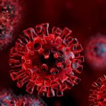 Des virus observés à l'état microscopique