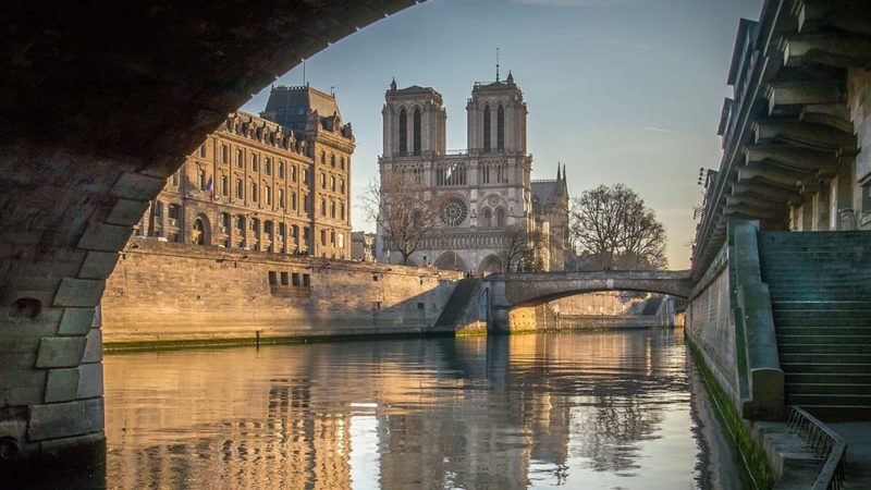 Le plomb de Notre-Dame retrouvé dans le miel