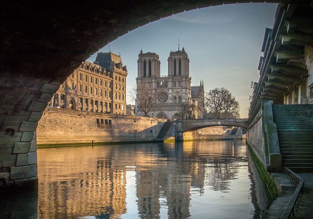 Le plomb de Notre-Dame retrouvé dans le miel