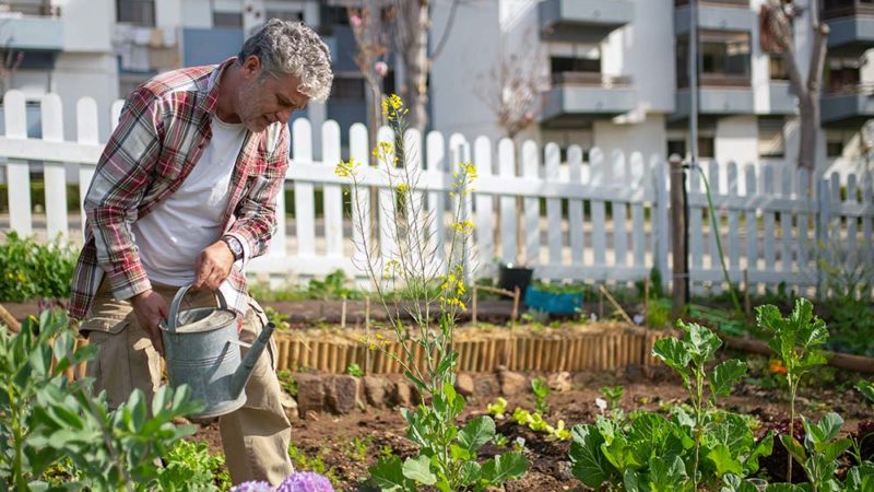 Les jardins partagés mènent-ils à un mode de vie plus durable ?