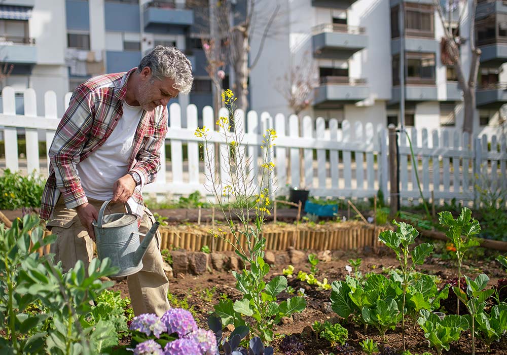 Les jardins partagés mènent-ils à un mode de vie plus durable ?